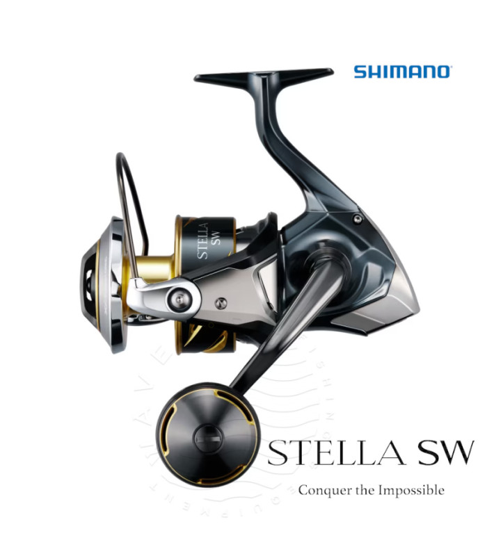 SHIMANO 25 STELLA SW D 10000PG
