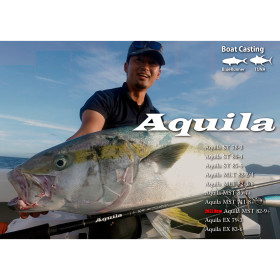 Въдица RIPPLE FISHER AQUILA ST 80-4