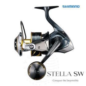 SHIMANO 25 STELLA SW D 10000PG