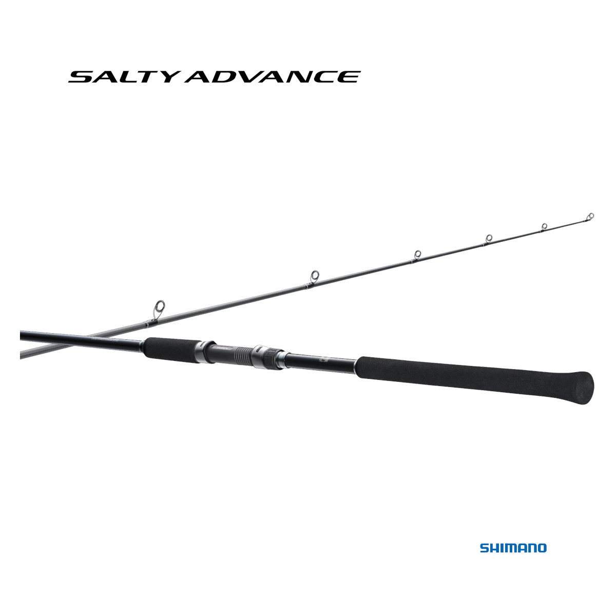 気質アップ JIGGING SHORE ADVANCE SALTY SHIMANO 100H SHIMANO - その他